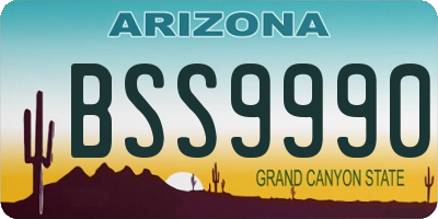 AZ license plate BSS9990
