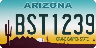 AZ license plate BST1239