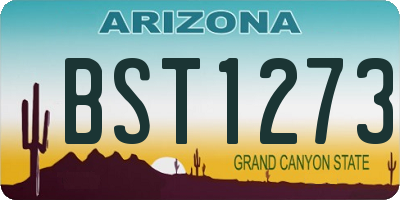 AZ license plate BST1273