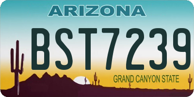 AZ license plate BST7239