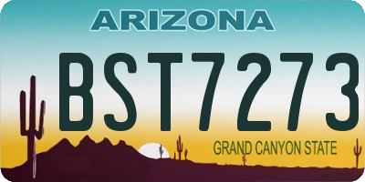 AZ license plate BST7273