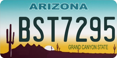 AZ license plate BST7295