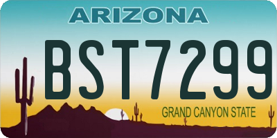 AZ license plate BST7299