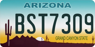 AZ license plate BST7309