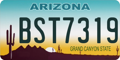 AZ license plate BST7319