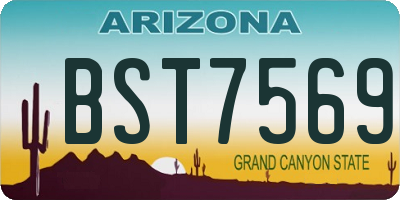 AZ license plate BST7569