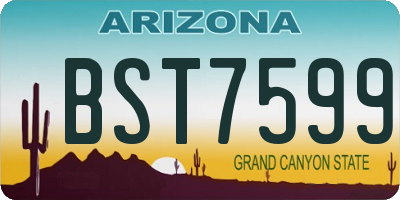 AZ license plate BST7599