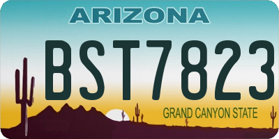 AZ license plate BST7823