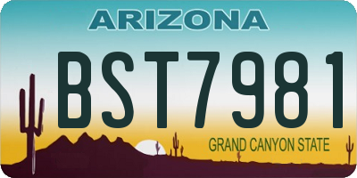AZ license plate BST7981