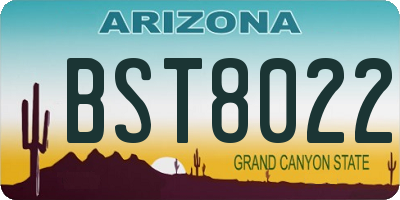 AZ license plate BST8022