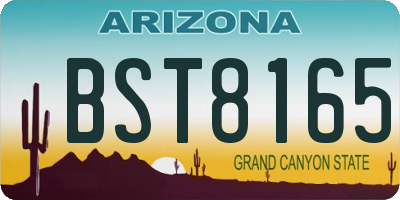 AZ license plate BST8165