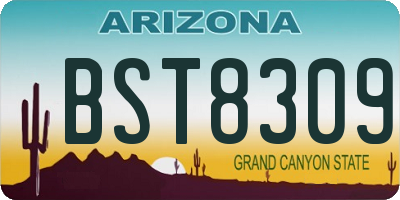 AZ license plate BST8309