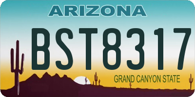 AZ license plate BST8317