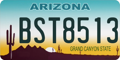 AZ license plate BST8513