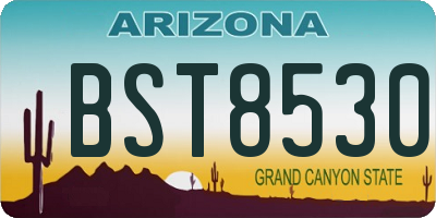 AZ license plate BST8530