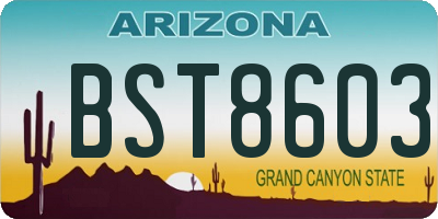 AZ license plate BST8603