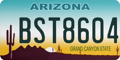 AZ license plate BST8604