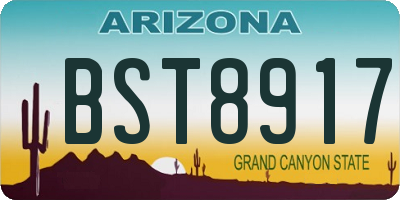 AZ license plate BST8917