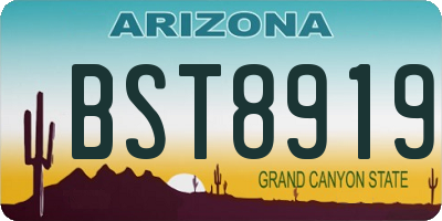 AZ license plate BST8919