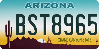 AZ license plate BST8965