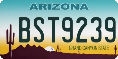 AZ license plate BST9239