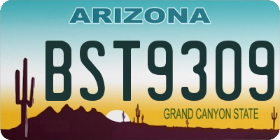 AZ license plate BST9309