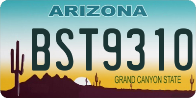 AZ license plate BST9310