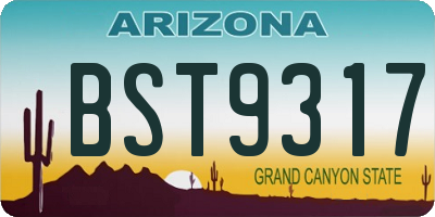 AZ license plate BST9317