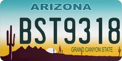 AZ license plate BST9318