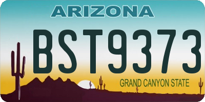 AZ license plate BST9373