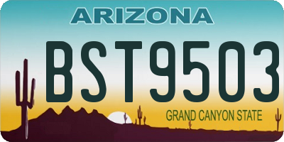 AZ license plate BST9503