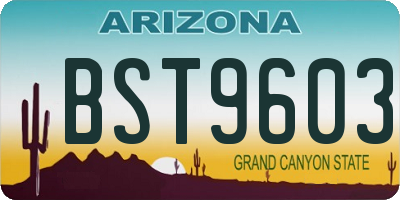 AZ license plate BST9603