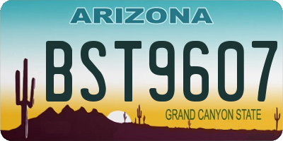 AZ license plate BST9607