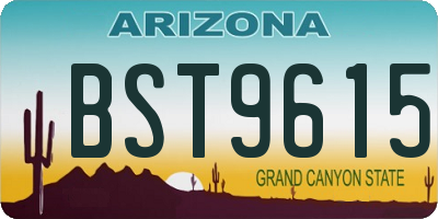 AZ license plate BST9615