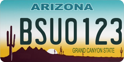 AZ license plate BSU0123