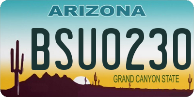 AZ license plate BSU0230