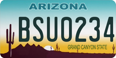 AZ license plate BSU0234