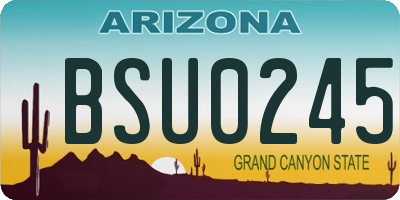 AZ license plate BSU0245