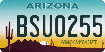 AZ license plate BSU0255