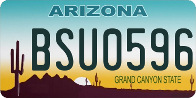 AZ license plate BSU0596