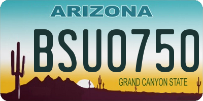 AZ license plate BSU0750