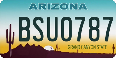 AZ license plate BSU0787