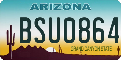 AZ license plate BSU0864