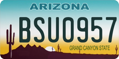 AZ license plate BSU0957