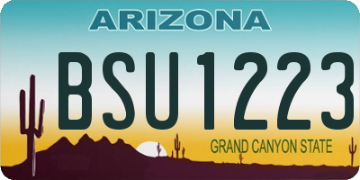 AZ license plate BSU1223
