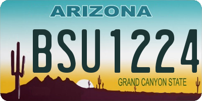 AZ license plate BSU1224