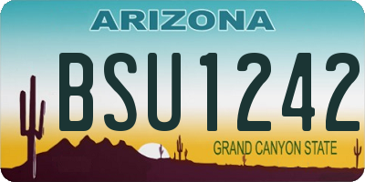 AZ license plate BSU1242