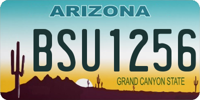 AZ license plate BSU1256