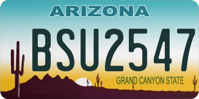 AZ license plate BSU2547