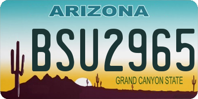 AZ license plate BSU2965